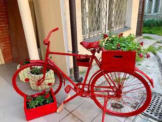 Хостелы hostel Koleso Одесса-3